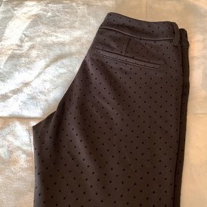 Adorable Black Pants with raised Polka Dots